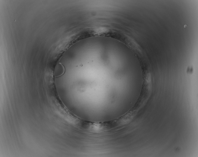 X0000112030565200908031439