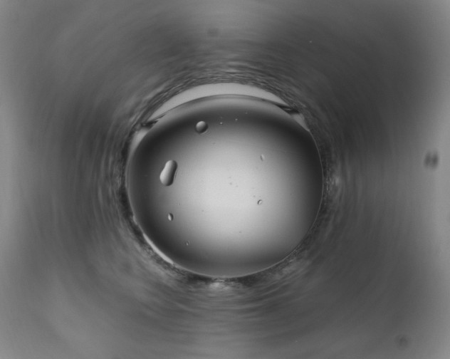 X0000112030566200908031439