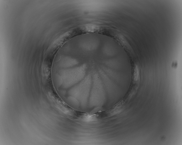 X0000112030569200908031439