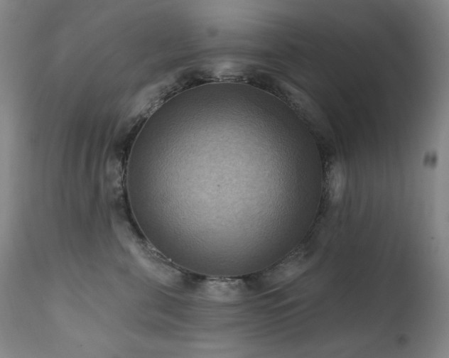 X0000112030571200908031439