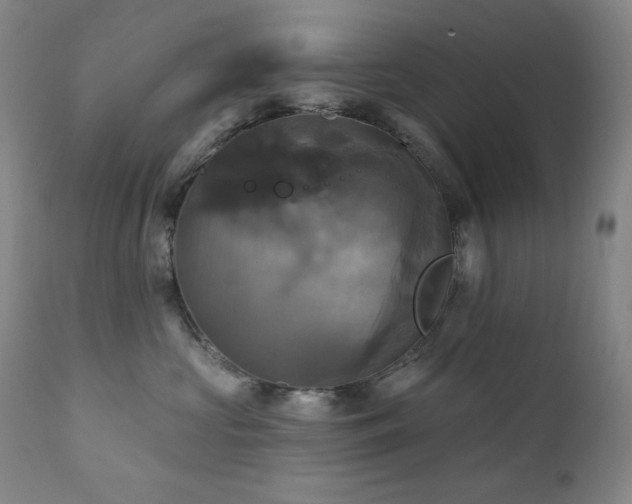 X0000112030573200908031439
