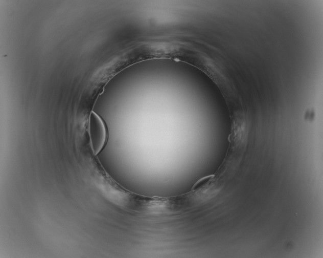 X0000112030574200908031439