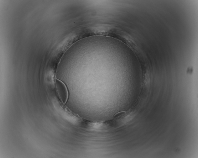 X0000112030575200908031439