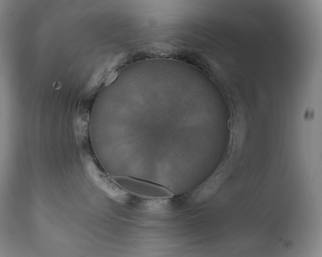 X0000112030576200908031439