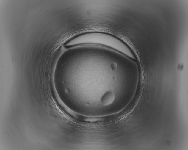 X0000112030577200908031438