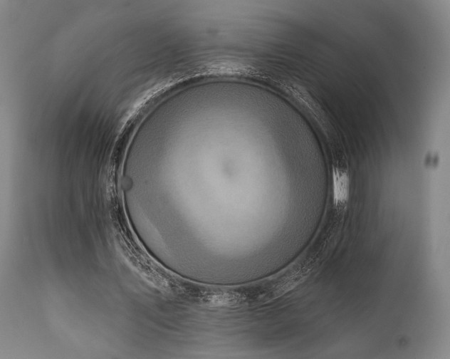 X0000112030579200908031438