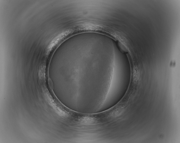 X0000112030581200908031438