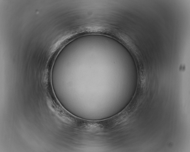 X0000112030583200908031438