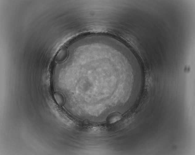 X0000112030584200908031438