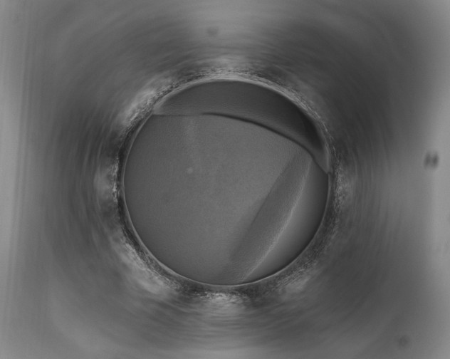X0000112030585200908031438