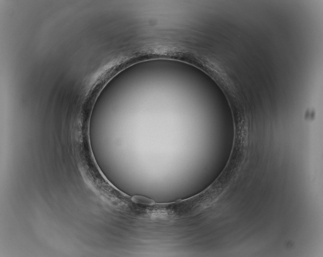 X0000112030587200908031438