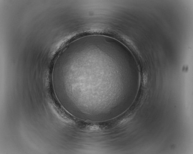X0000112030588200908031438