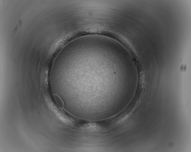 X0000112030589200908031438