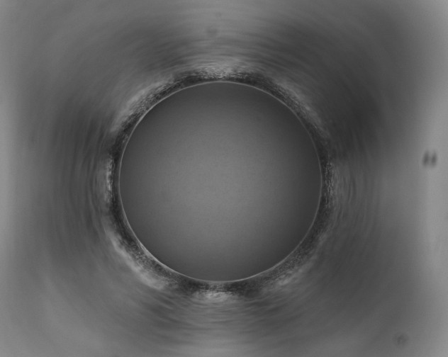 X0000112030590200908031438