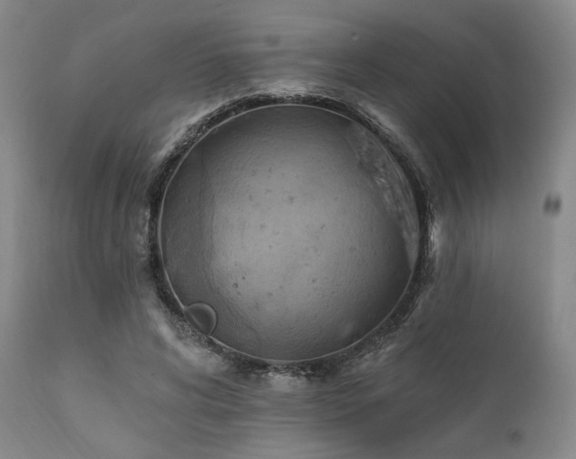 X0000112030592200908031438