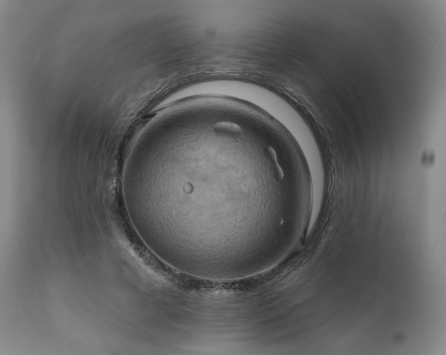 X0000112030593200908031438