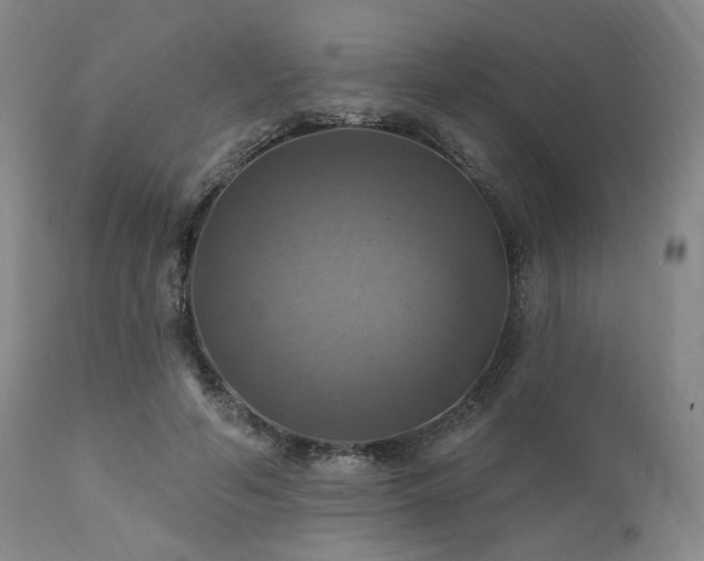X0000112030594200908031438