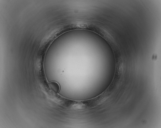 X0000112030595200908031438
