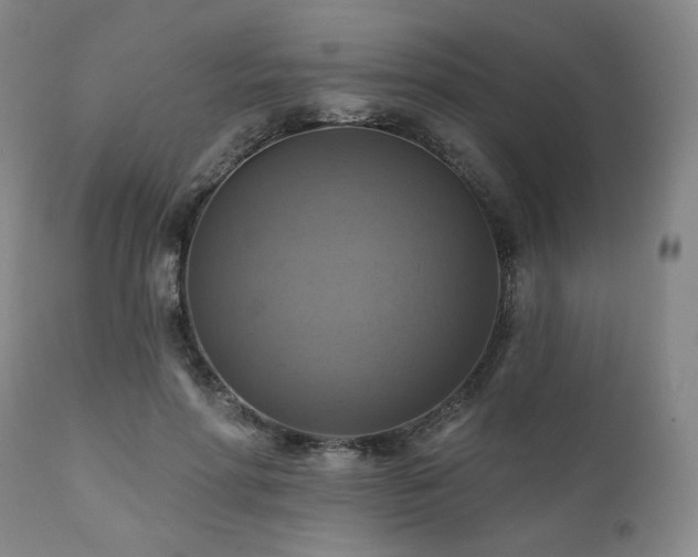 X0000112030598200908031438