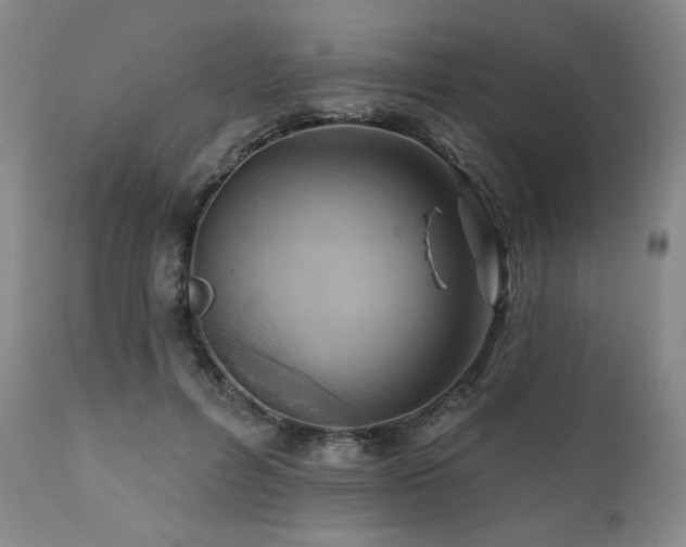 X0000112030600200908031438
