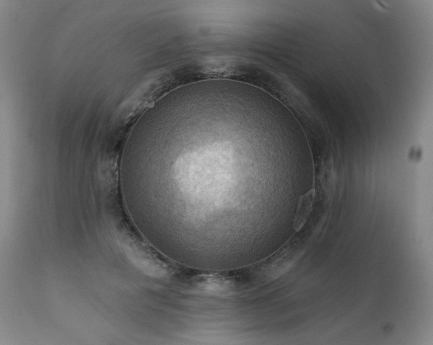 X0000112030601200908031438