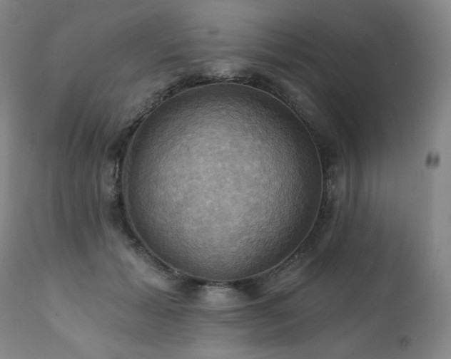 X0000112030605200908031438