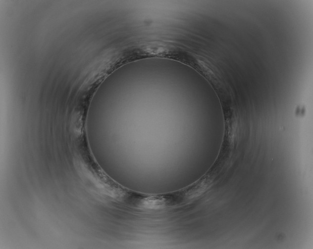 X0000112030606200908031438