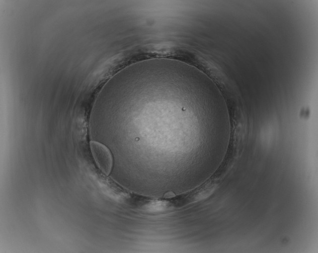 X0000112030609200908031438