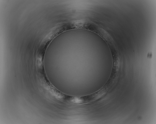 X0000112030610200908031438