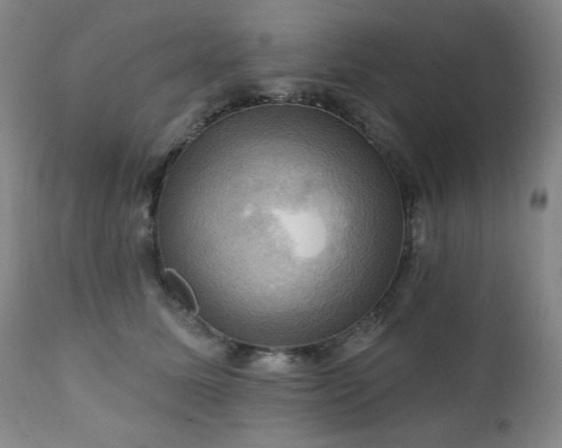 X0000112030611200908031438