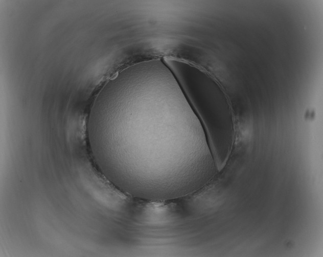 X0000112030613200908031438