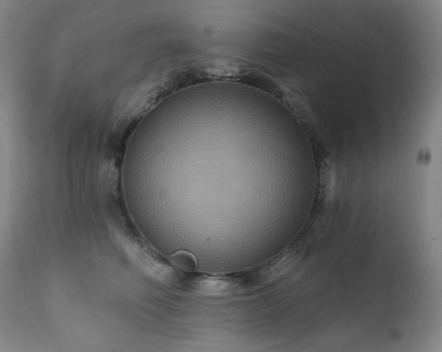 X0000112030614200908031438