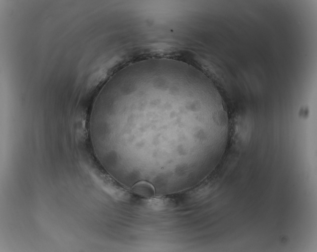 X0000112030615200908031438