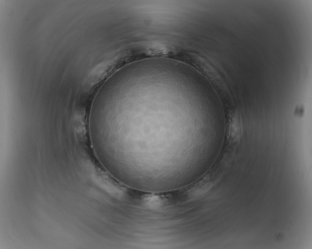 X0000112030616200908031438