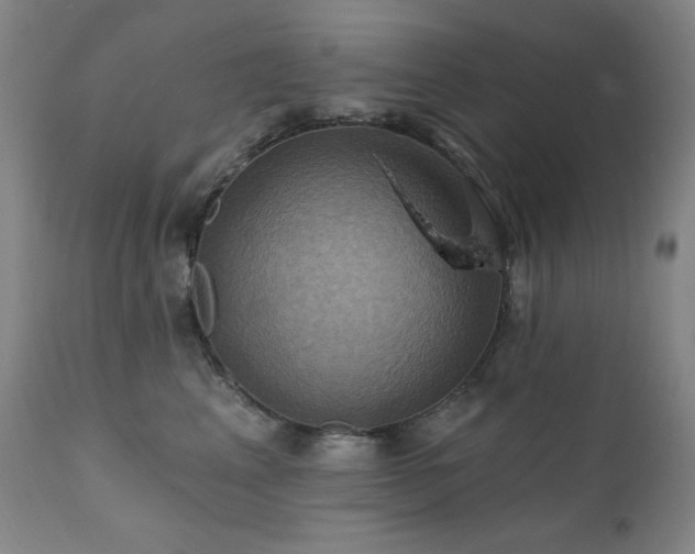 X0000112030617200908031438