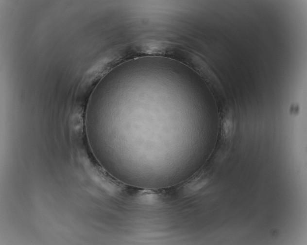 X0000112030620200908031438