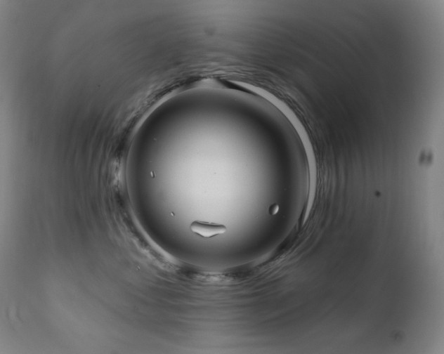X0000112030621200908031438