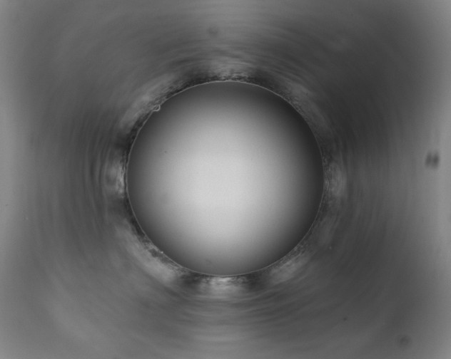 X0000112030622200908031438