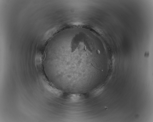 X0000112030623200908031438