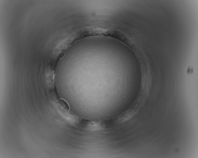 X0000112030624200908031438