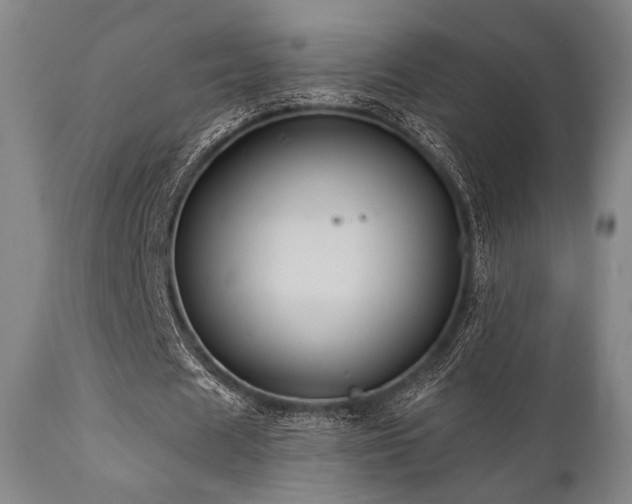 X0000112030625200908031437