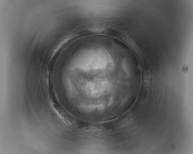 X0000112030626200908031437