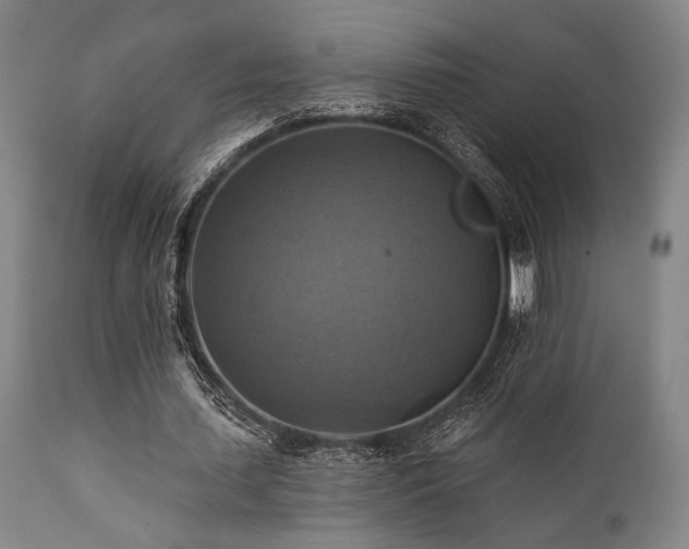 X0000112030627200908031437