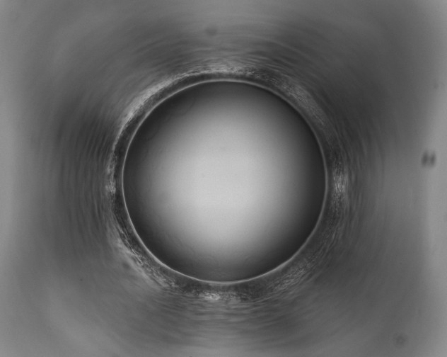 X0000112030628200908031437
