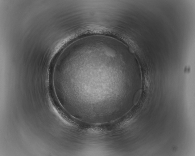 X0000112030630200908031437