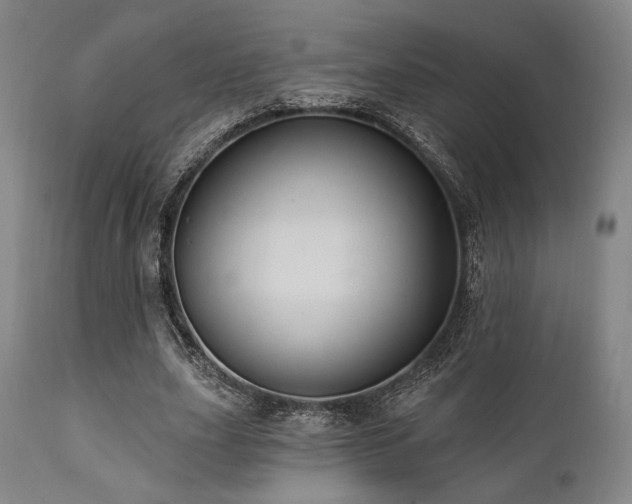 X0000112030631200908031437