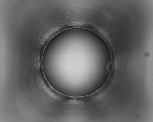 X0000112030633200908031437
