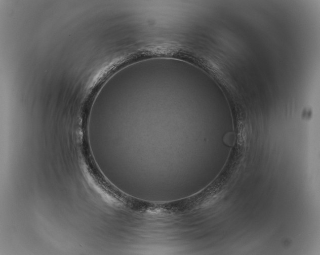 X0000112030634200908031437