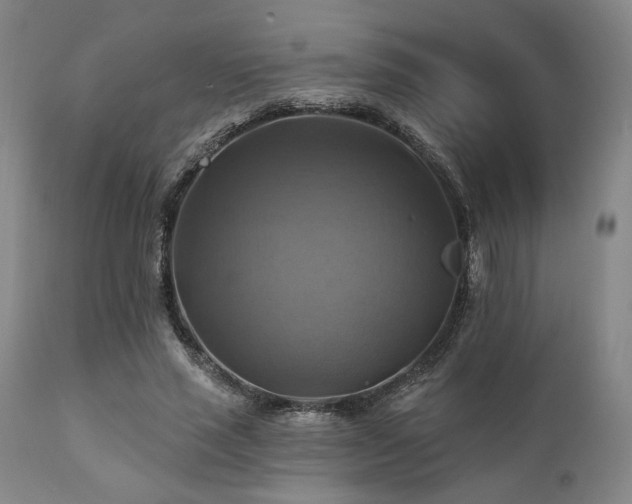 X0000112030637200908031437