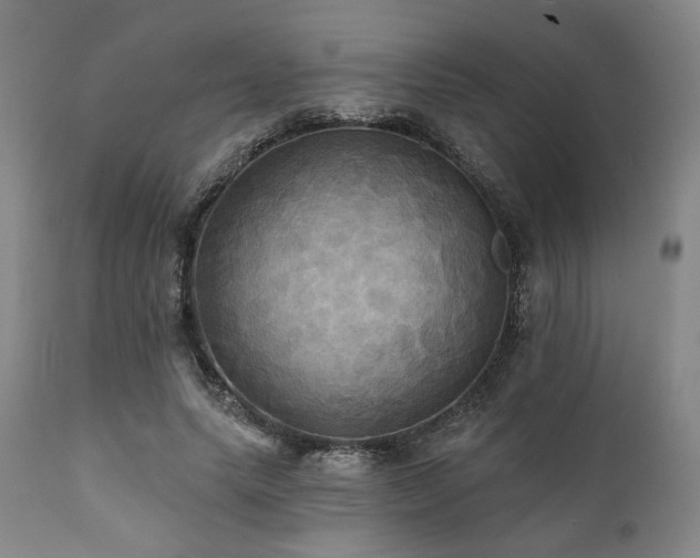 X0000112030639200908031437